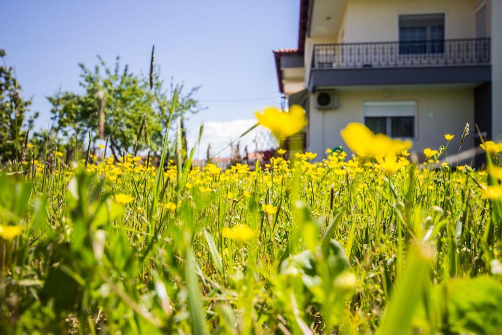 My Erofili Apartamento Keramotí Exterior foto